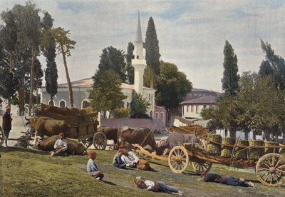 Chariots turcs - European Photographer